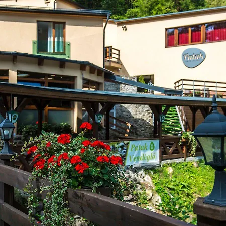 Hotel Patak Park 3*