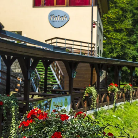 Patak Park Hotel 3*