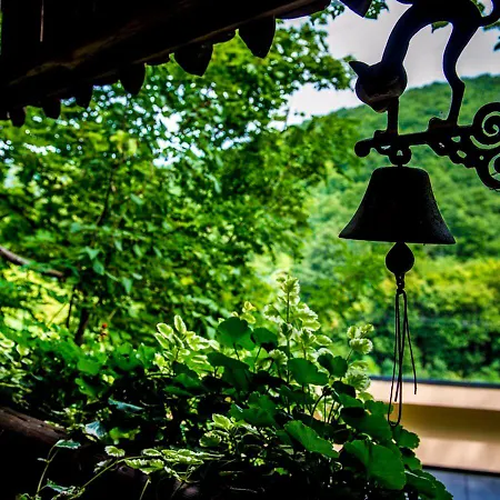 Hotel Patak Park Visegrád