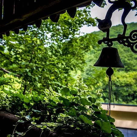 Patak Park (adults Only) Hotel Visegrad