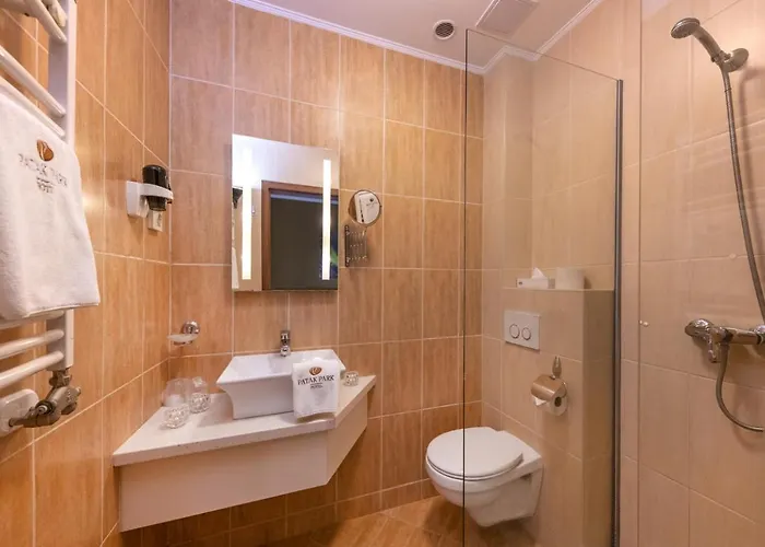 Patak Park Hotel 3*